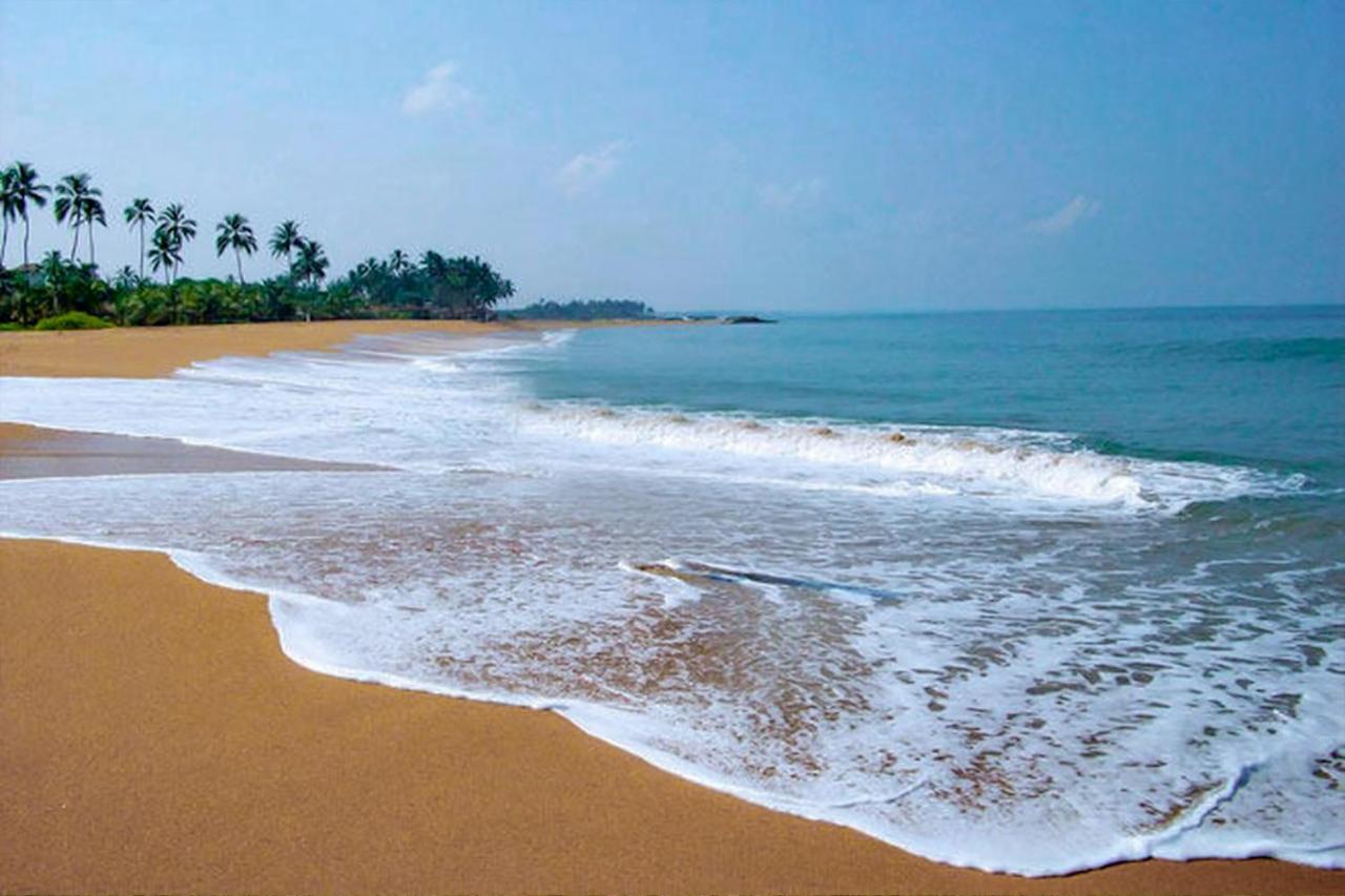 Bohemian Hotel - Negombo Eksteriør bilde